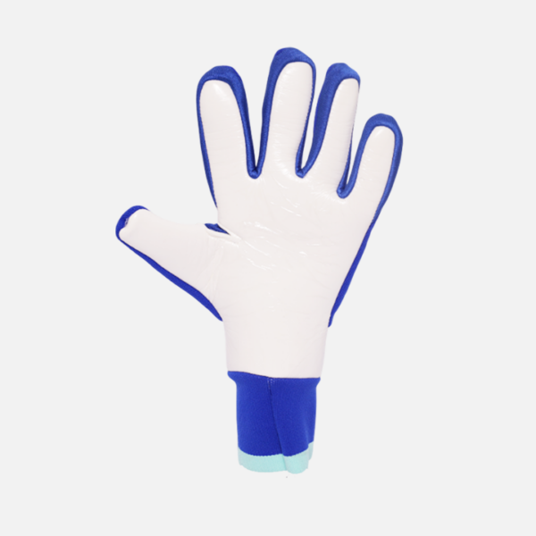 Gants de gardien de but avec paume en latex haute adhérence, offrant un excellent contrôle du ballon. Textile respirant, coupe ergonomique et maintien confortable. Idéals pour l’entraînement et les matchs.