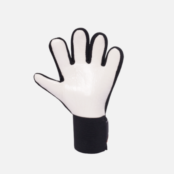 Gants de Gardien