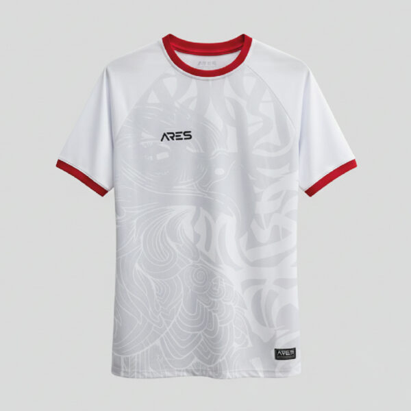 Maillot de football officielle équipe tunisie