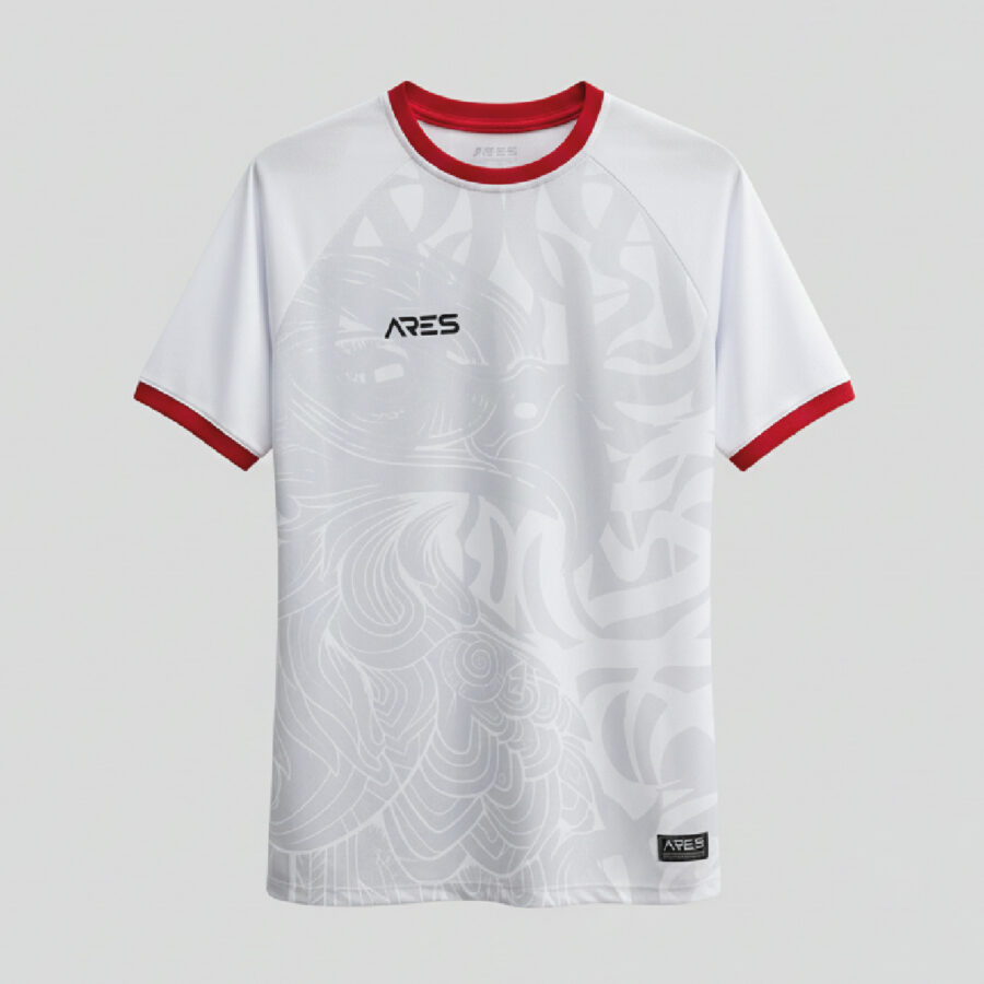 Maillot de football – Aigles de Carthage